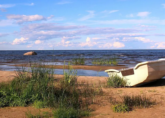 Peipsi Korter Διαμέρισμα