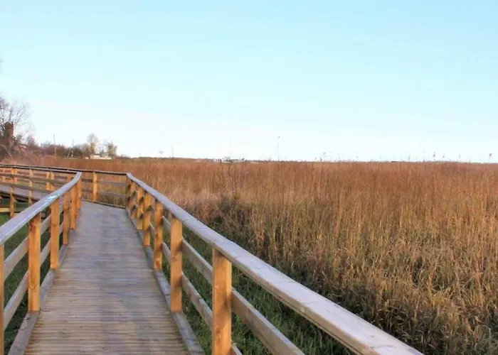 Peipsi Korter Διαμέρισμα