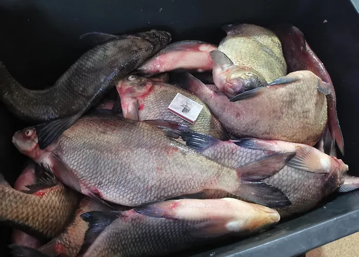 Peipsi Korter Διαμέρισμα